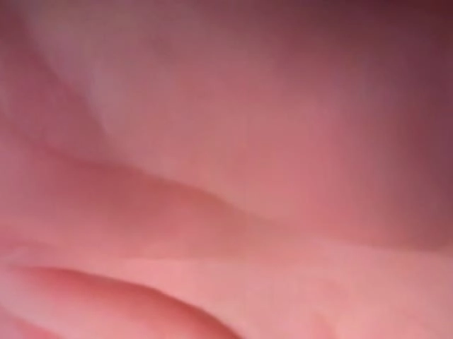 Geile webcamsex met BiFlexible