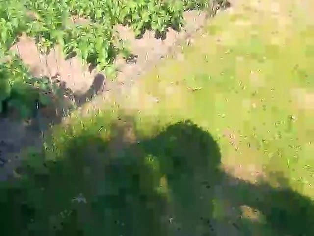 Geile webcamsex met Hottie8312